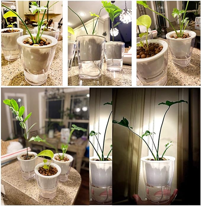 3 Packs 7" Large Clear Self-watering Planters African Violet Pots Plastic Plant Pots Wicking Flower Pots for Indoor Plants, Herbs, African Violet, Ocean Spider Plant, Orchid Pot, Clear and White