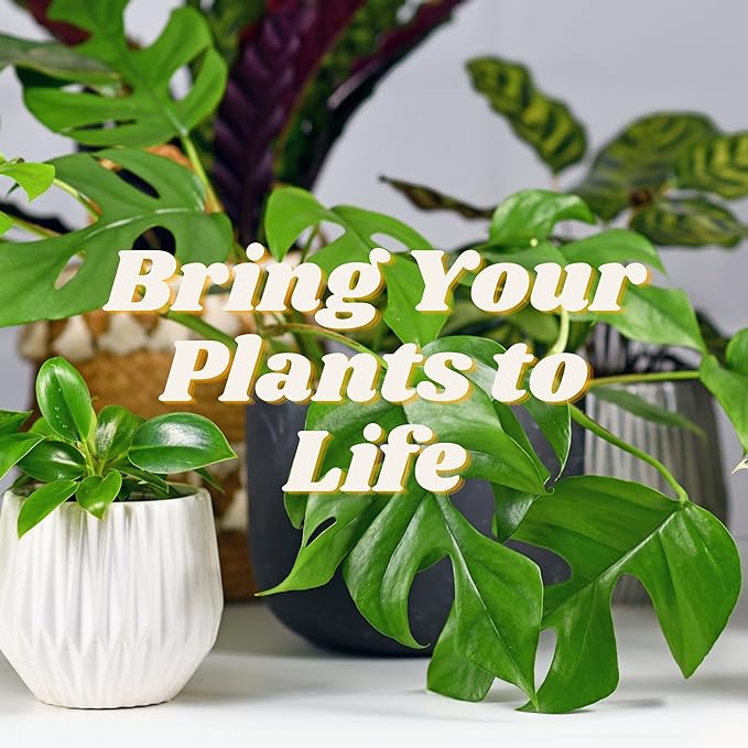 FoxFarm Ocean Forest Potting Soil Mix Indoor Outdoor for Garden and Plants | Plant Fertilizer | 12 Quarts | The Hydroponic City Stake