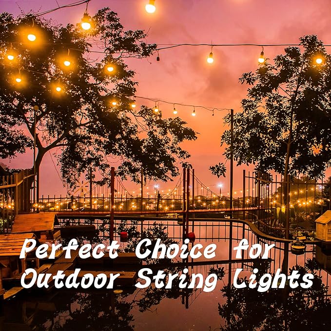 ADIIL 20 PCS Q Hanger Hooks with Safety Buckle, Windproof Screw Hooks for Hanging Outdoor String Lights, Plants, Christmas & Patio Lights, 2.2 Inches, Black