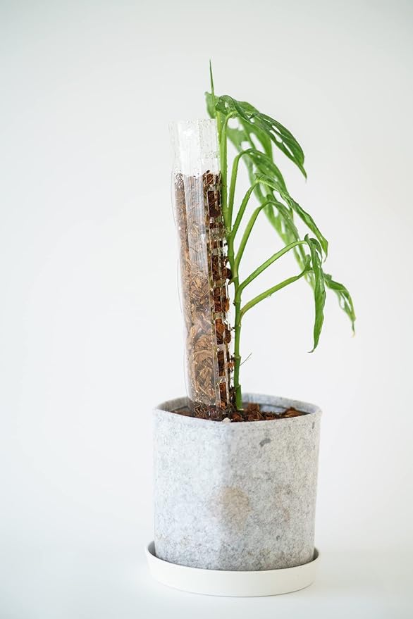 Medium 2.0 GrowPole (5 Piece Set) Plastic Moss Poles for Monstera