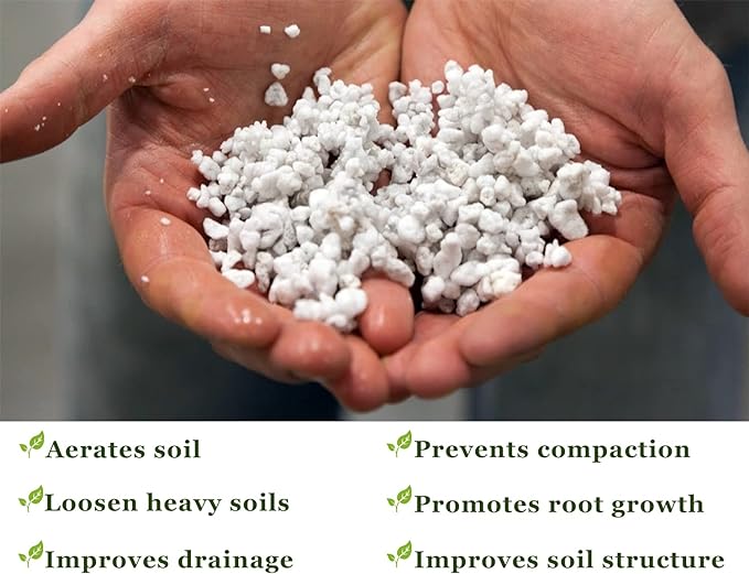 O-FarFarm Chunky Perlite Bulk, Horticultural Pearlite Coarse Perlite for Plants Indoor, Additive Conditioner Mix, Improve Drainage and Ventilation, Help Root Growth (5-10mm, 2qt)