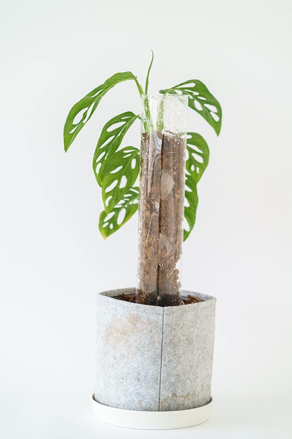 Medium 2.0 GrowPole (5 Piece Set) Plastic Moss Poles for Monstera