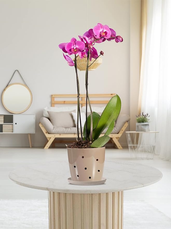 10 Quarts Orchid Potting Bark, Sun-Dried New Zealand Medium Organic Pine Wood Chip Barks for Orchids Mix Plant Compost, Natural Houseplant Mulch for Plant Roots Development