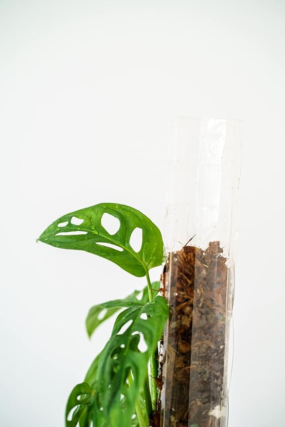 Medium 2.0 GrowPole (5 Piece Set) Plastic Moss Poles for Monstera
