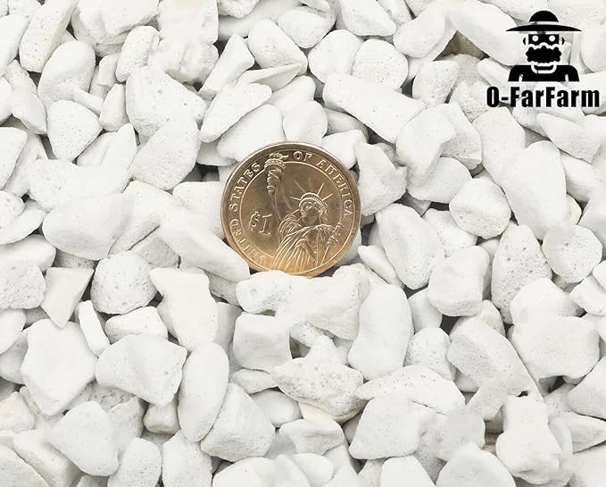 O-FarFarm Chunky Perlite Bulk, Horticultural Pearlite Coarse Perlite for Plants Indoor, Additive Conditioner Mix, Improve Drainage and Ventilation, Help Root Growth (5-10mm, 2qt)