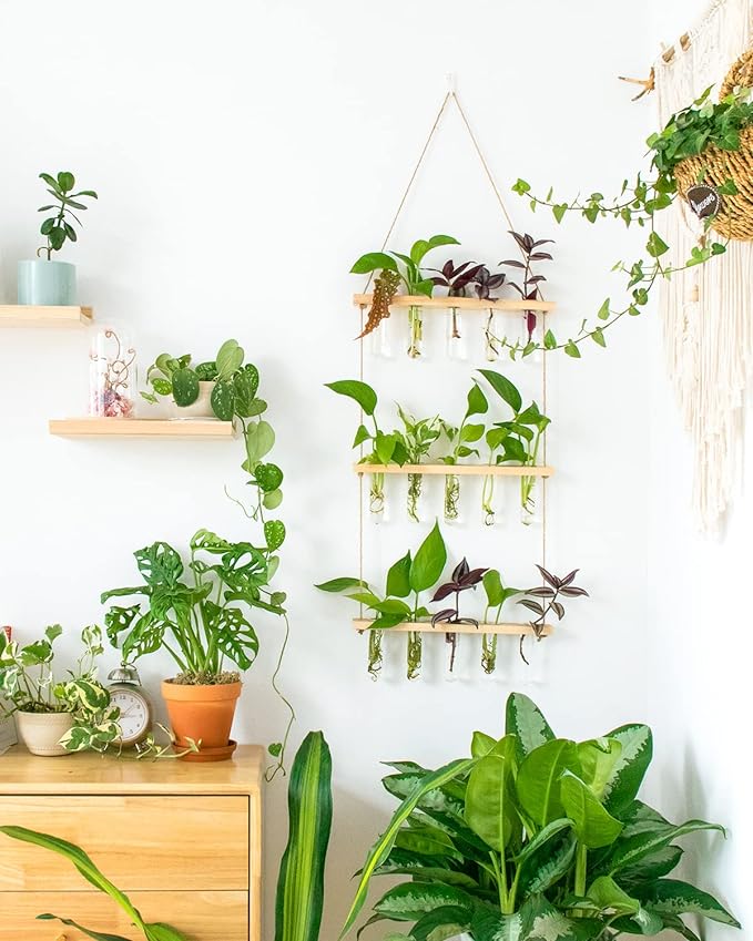 Ivolador Propagation Stations Wall Hanging, Glass Test Tubes for Plants, 3 Tiered Boho Planter for Hydroponic Houseplants Home Office Desk Décor Plant Lovers Mom Women Gift