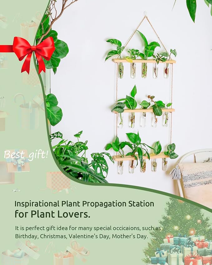 Ivolador Propagation Stations Wall Hanging, Glass Test Tubes for Plants, 3 Tiered Boho Planter for Hydroponic Houseplants Home Office Desk Décor Plant Lovers Mom Women Gift