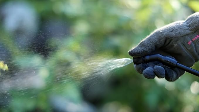 Flo-Master by Hudson 2 Gallon Lawn & Garden Sprayer, Translucent, 24102