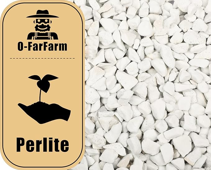 O-FarFarm Chunky Perlite Bulk, Horticultural Pearlite Coarse Perlite for Plants Indoor, Additive Conditioner Mix, Improve Drainage and Ventilation, Help Root Growth (5-10mm, 2qt)