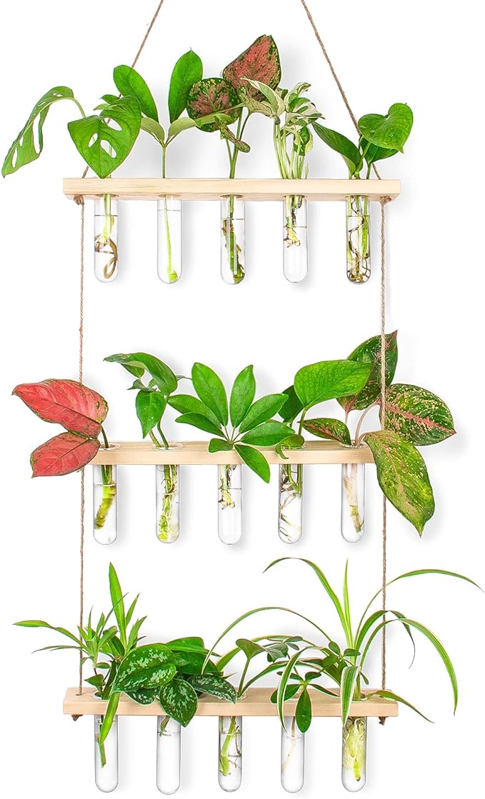 Ivolador Propagation Stations Wall Hanging, Glass Test Tubes for Plants, 3 Tiered Boho Planter for Hydroponic Houseplants Home Office Desk Décor Plant Lovers Mom Women Gift
