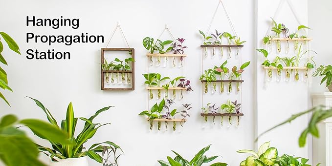 Ivolador Propagation Stations Wall Hanging, Glass Test Tubes for Plants, 3 Tiered Boho Planter for Hydroponic Houseplants Home Office Desk Décor Plant Lovers Mom Women Gift