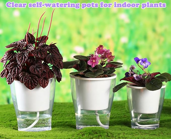 3 Packs 7" Large Clear Self-watering Planters African Violet Pots Plastic Plant Pots Wicking Flower Pots for Indoor Plants, Herbs, African Violet, Ocean Spider Plant, Orchid Pot, Clear and White