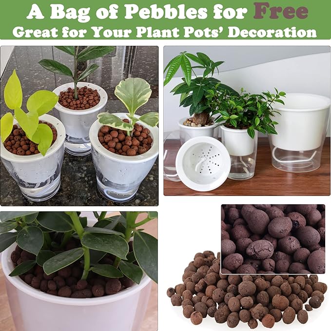 3 Packs 7" Large Clear Self-watering Planters African Violet Pots Plastic Plant Pots Wicking Flower Pots for Indoor Plants, Herbs, African Violet, Ocean Spider Plant, Orchid Pot, Clear and White