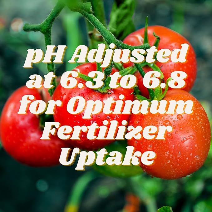 FoxFarm Ocean Forest Potting Soil Mix Indoor Outdoor for Garden and Plants | Plant Fertilizer | 12 Quarts | The Hydroponic City Stake