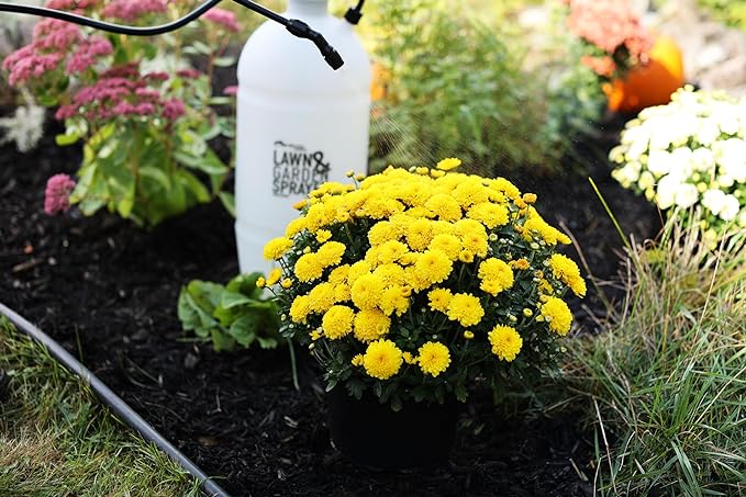 Flo-Master by Hudson 2 Gallon Lawn & Garden Sprayer, Translucent, 24102