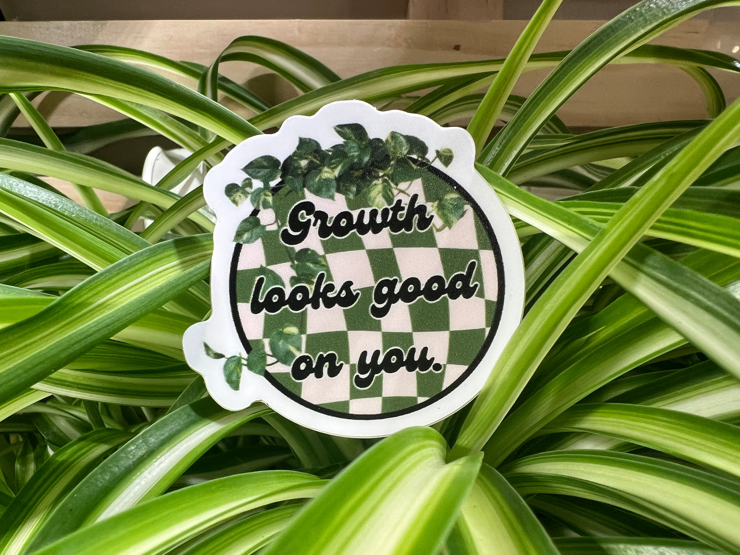 Growth Looks Good On You | Checkerboard Original WBW Plant Sticker