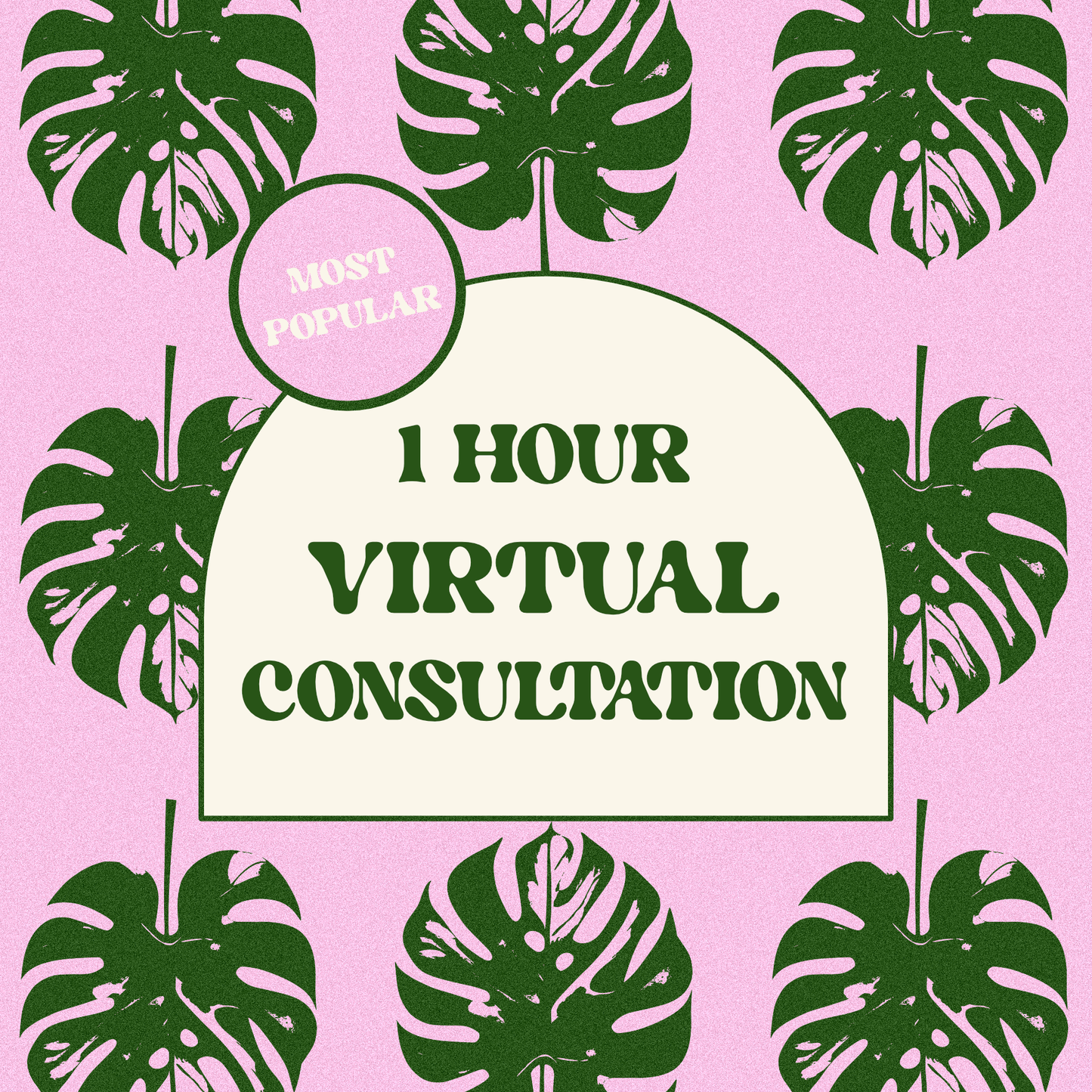 1 Hour Virtual Consultation