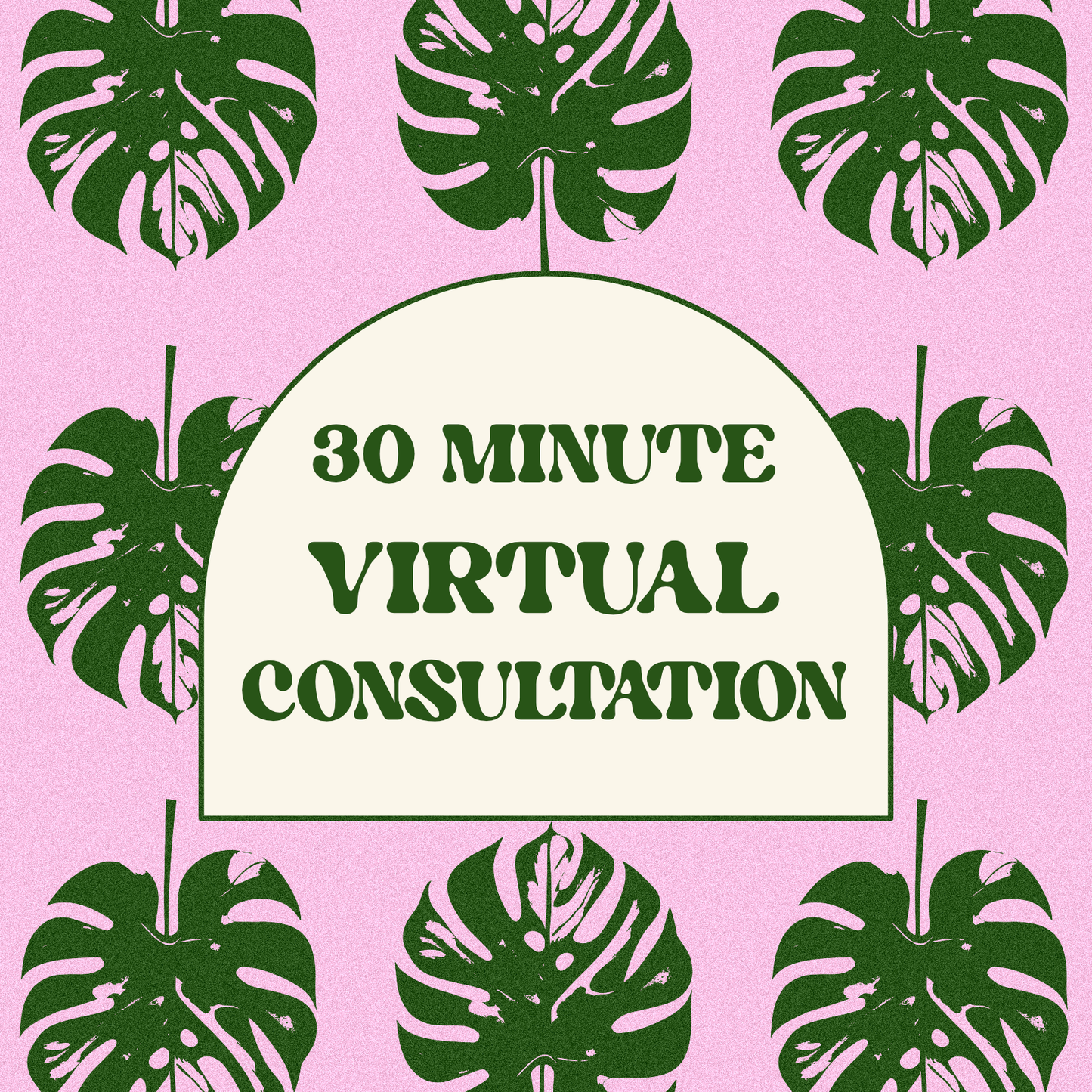 30 Minute Virtual Consultation