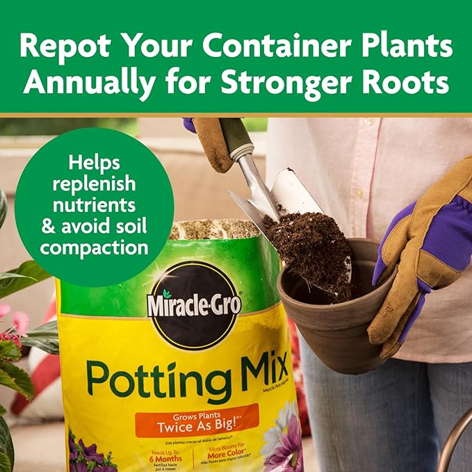 Miracle-Gro Potting Mix, Potting Soil for Indoor and Outdoor Container Plants, Enriched with Plant Food, 2 cu. ft. (2-Pack)