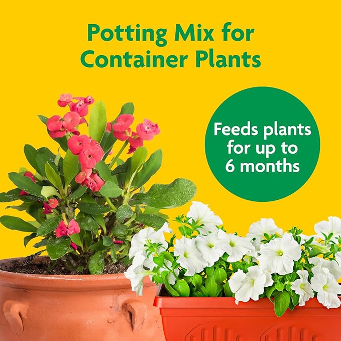 Miracle-Gro Potting Mix, Potting Soil for Indoor and Outdoor Container Plants, Enriched with Plant Food, 2 cu. ft. (2-Pack)