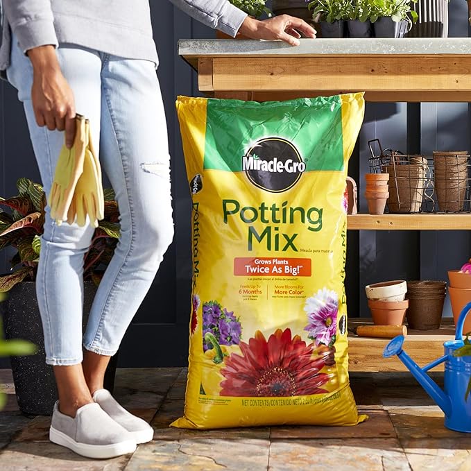 Miracle-Gro Potting Mix, Potting Soil for Indoor and Outdoor Container Plants, Enriched with Plant Food, 2 cu. ft. (2-Pack)